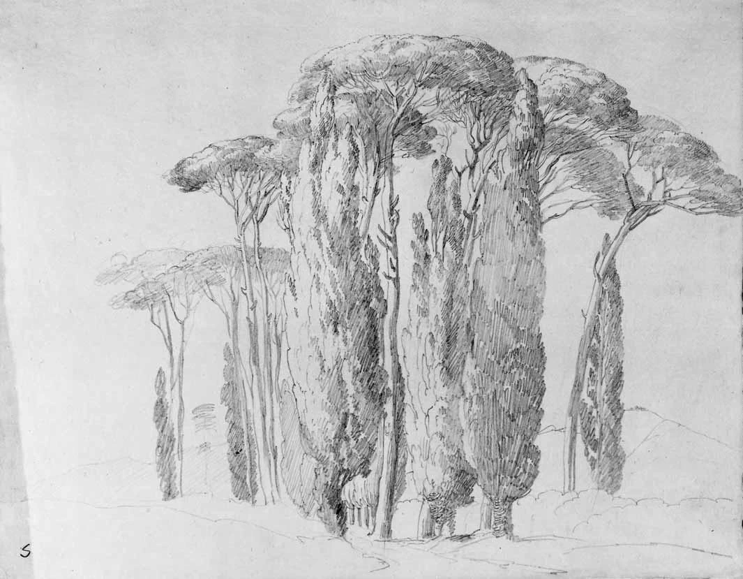 Luigi Basiletti-89-Boschetto di cipressi e pini marittimi